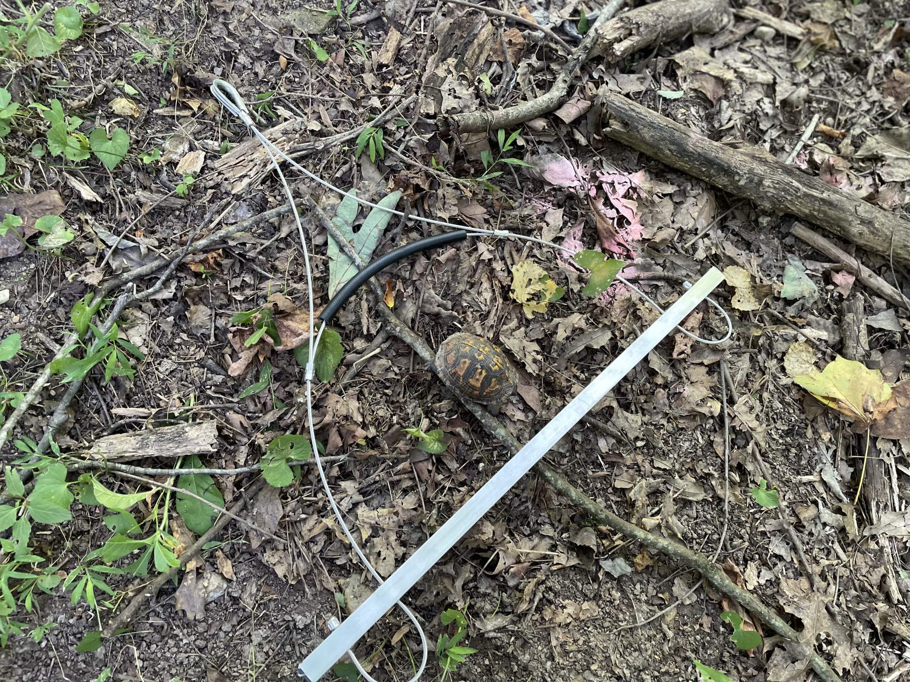 The Original Dragging Gambrel - Homestead Edition - Image 4