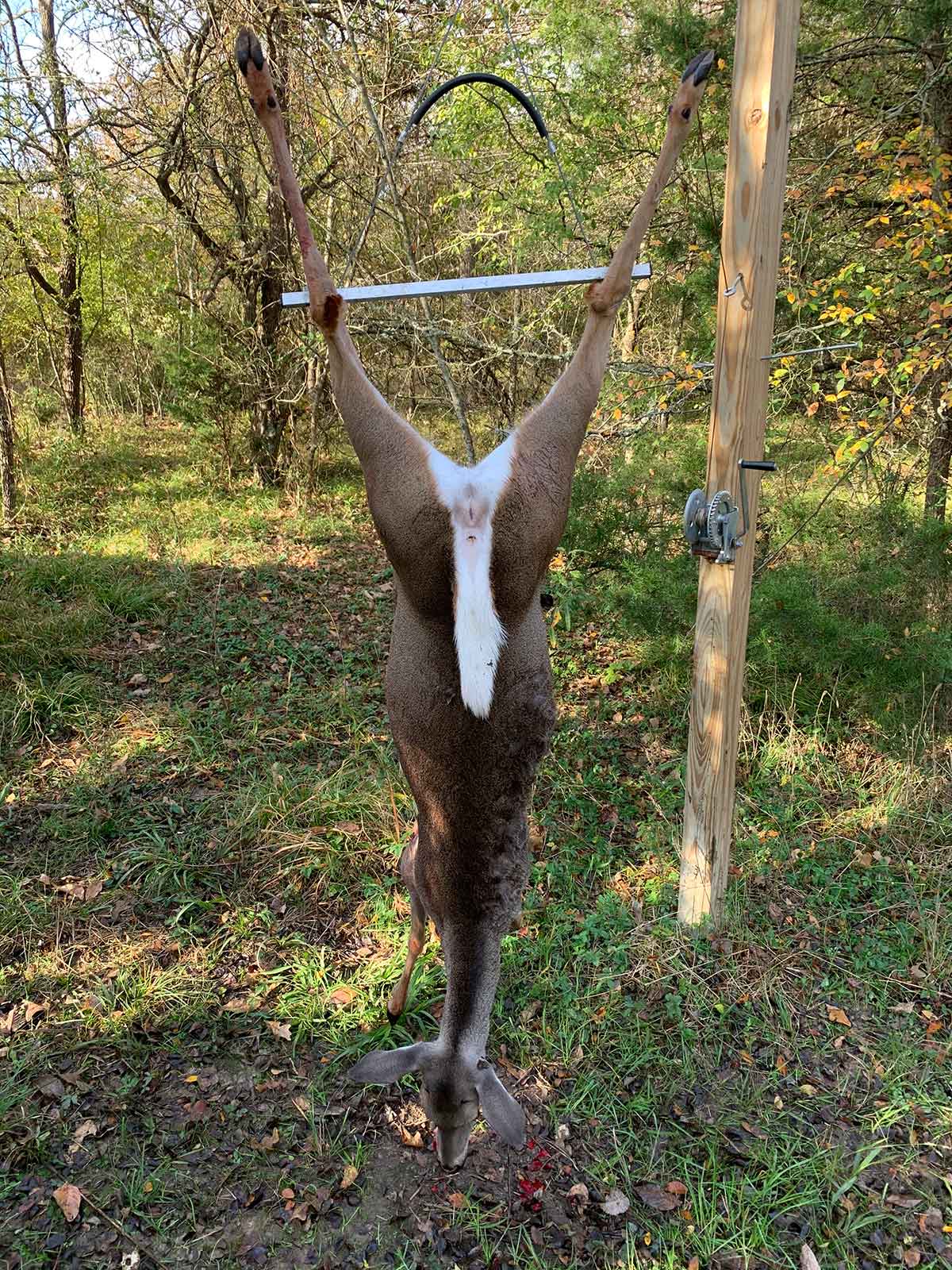 The Original Dragging Gambrel - Homestead Edition - Image 3