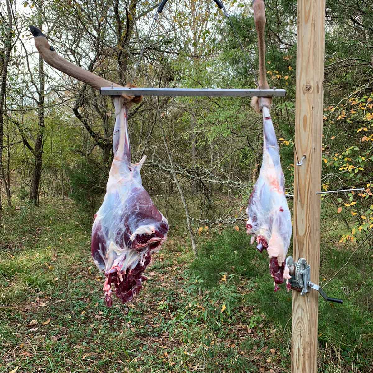 The Original Dragging Gambrel - Homestead Edition - Image 2